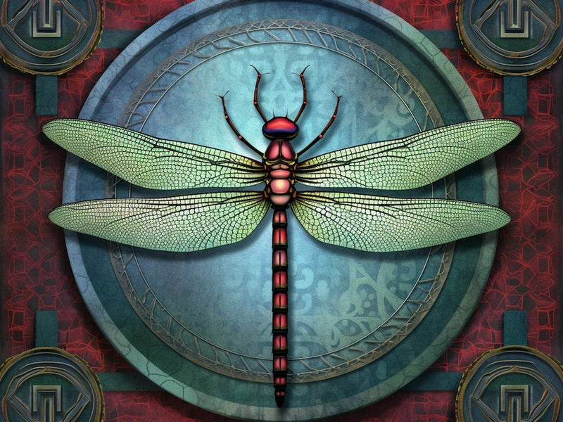 Dragonfly Eastern Pondhawk Colourful 2