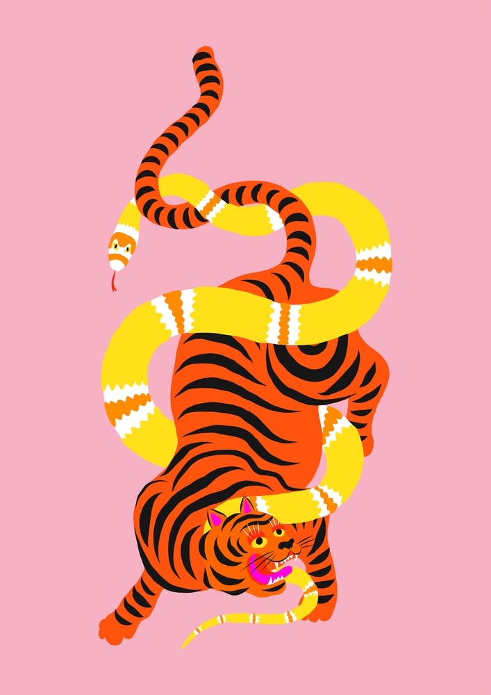 Tiger And Snake Battle