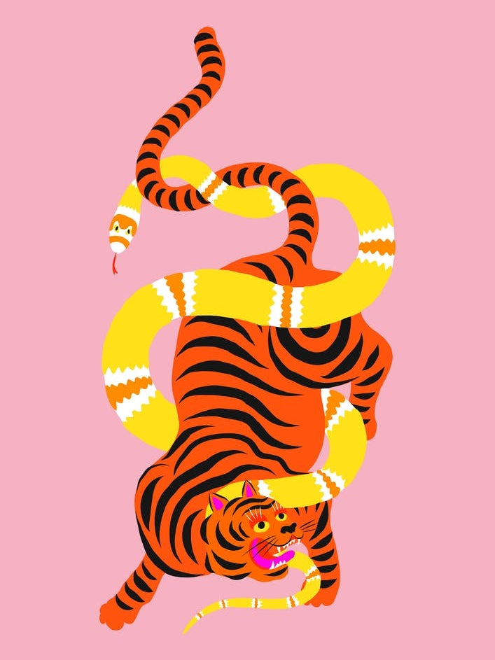 Tiger And Snake Battle