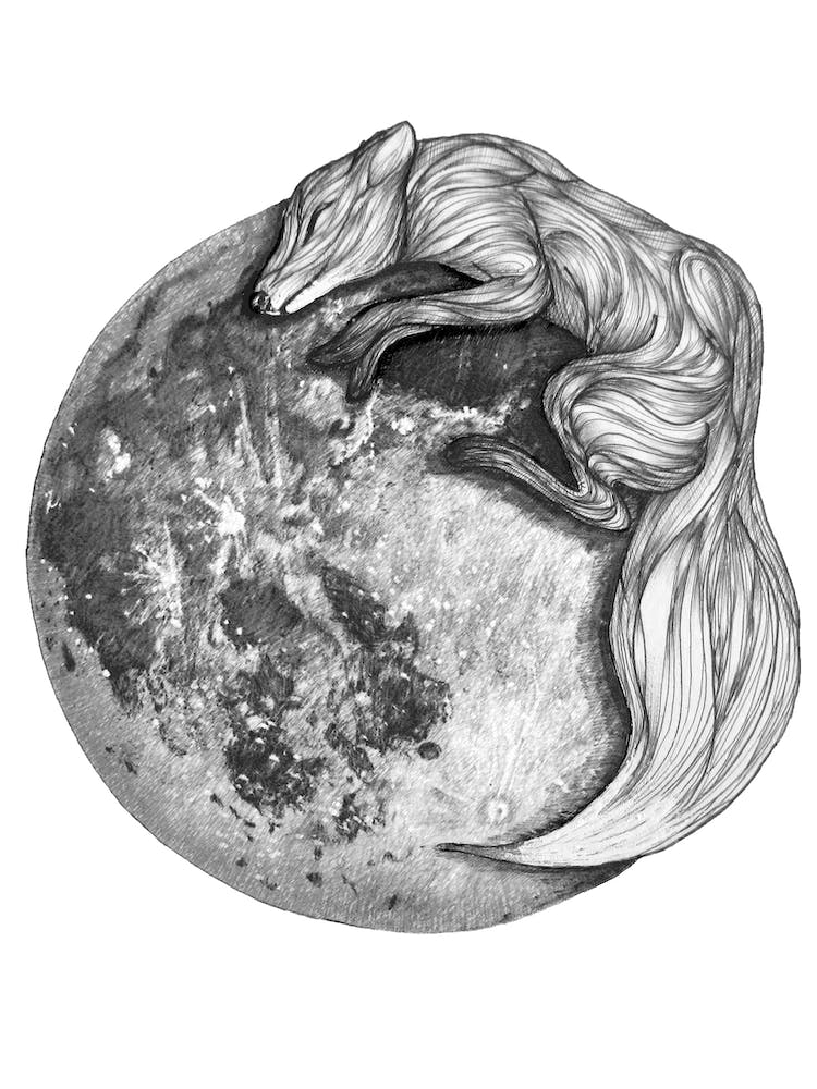 Moon Fox