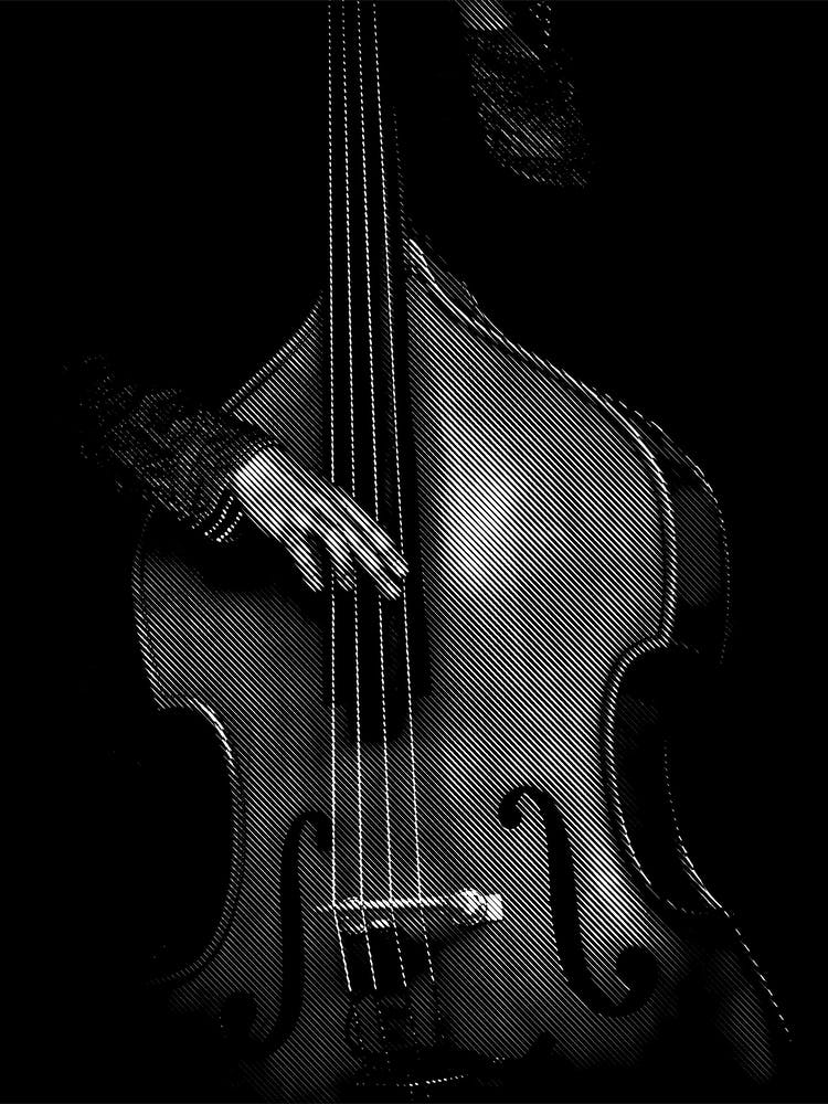 Cello Player Line Art Illustration