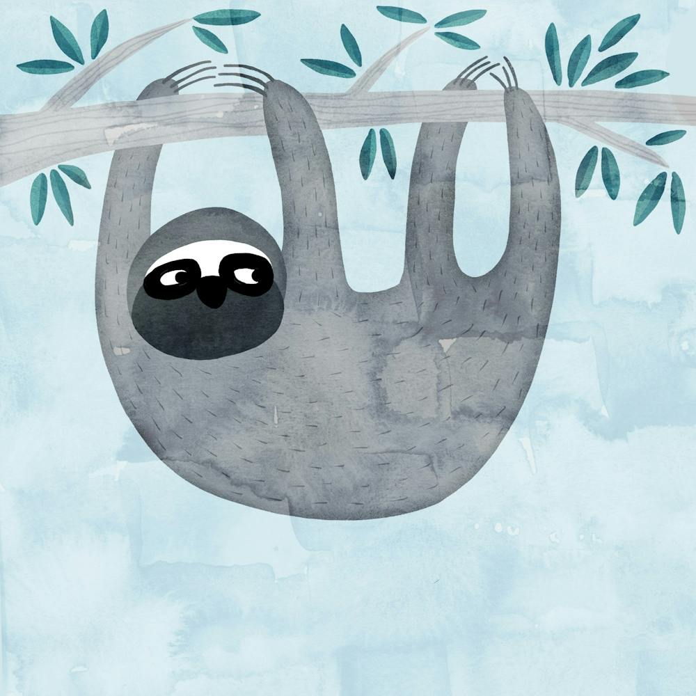 Sloth Hanging Out Watercolor