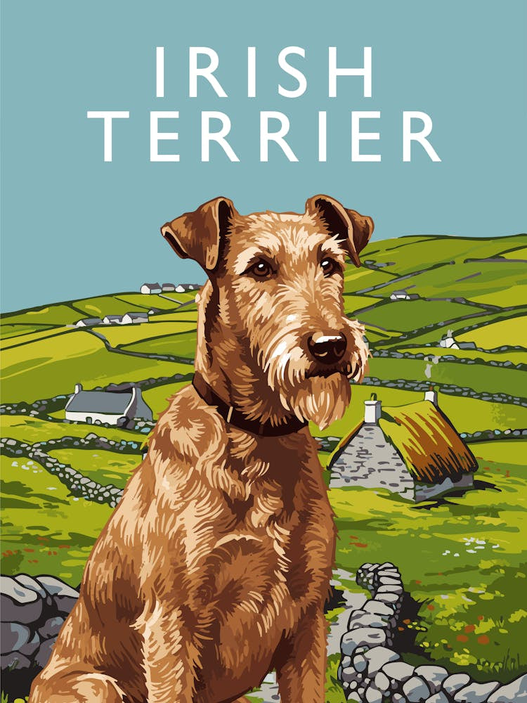 Irish Terrier