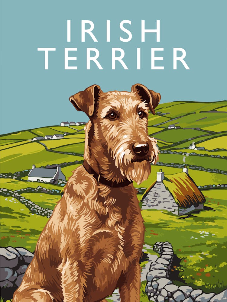 Irish Terrier