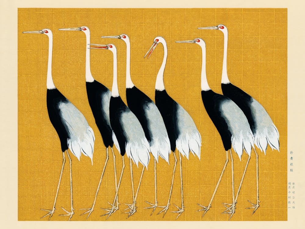 Yellow Cranes