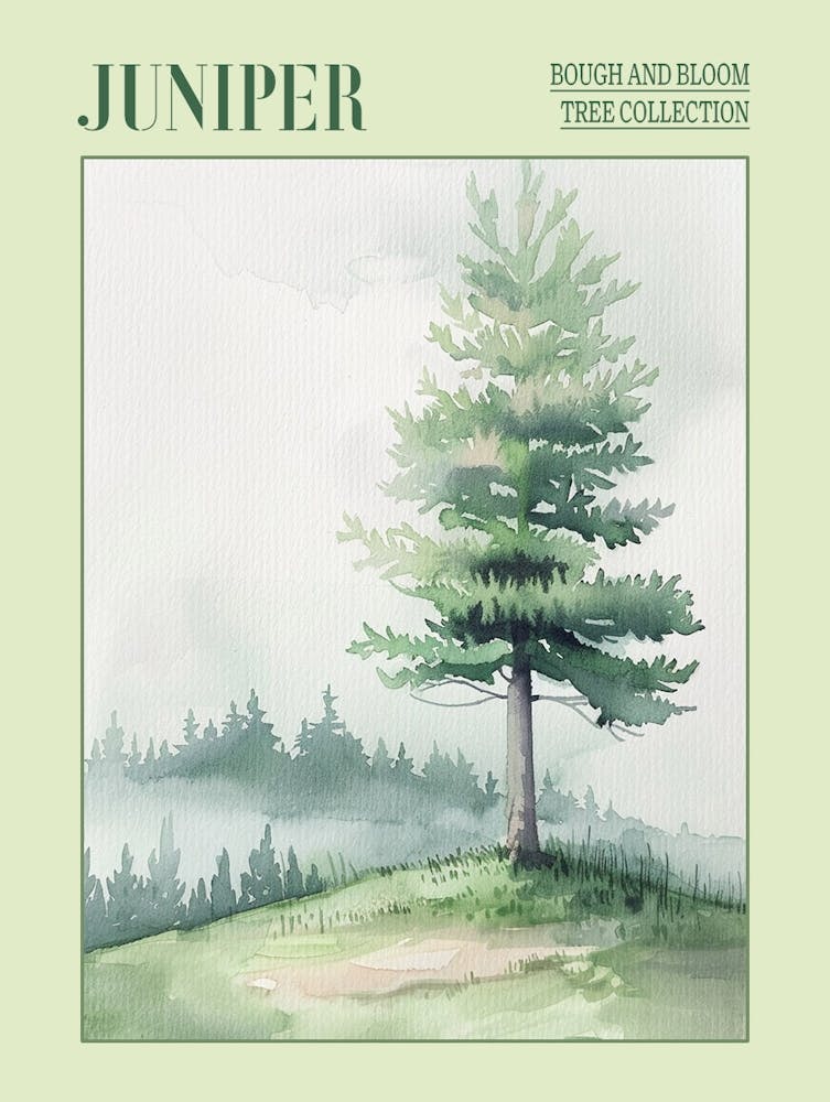 Juniper Tree Atmospheric Watercolour Painting 3 Poster