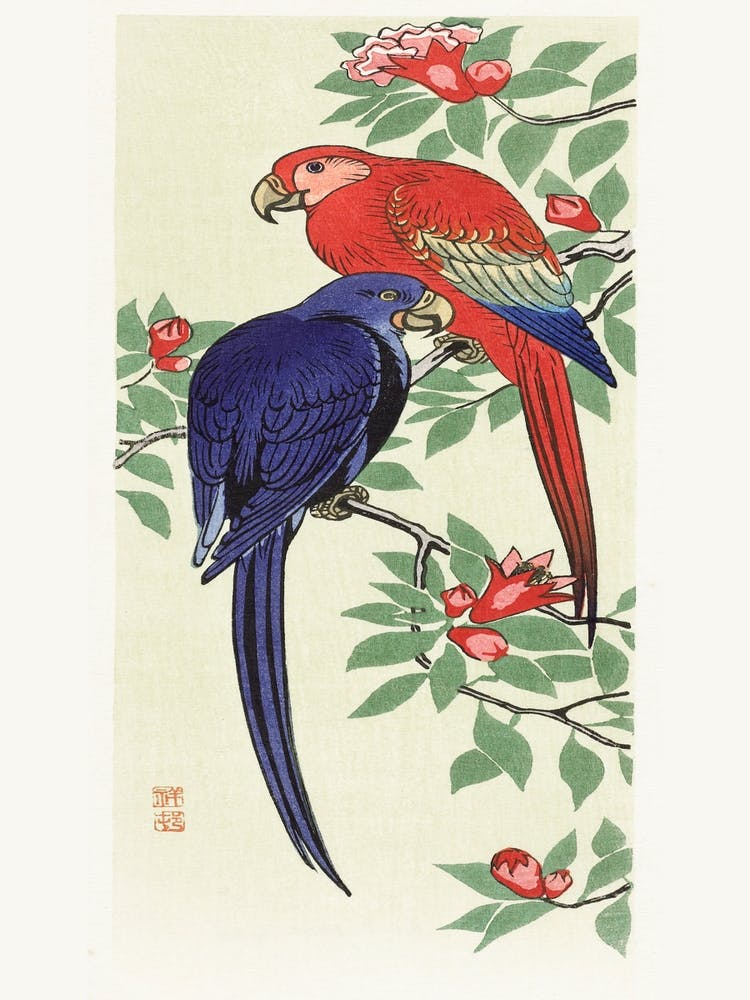 Red And A Blue Parrot (1925 1936), Ohara Koson