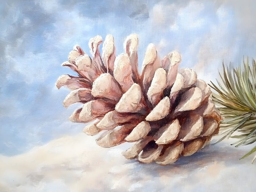 Pine Cone