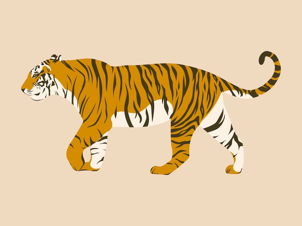 Walking Tiger - Beige