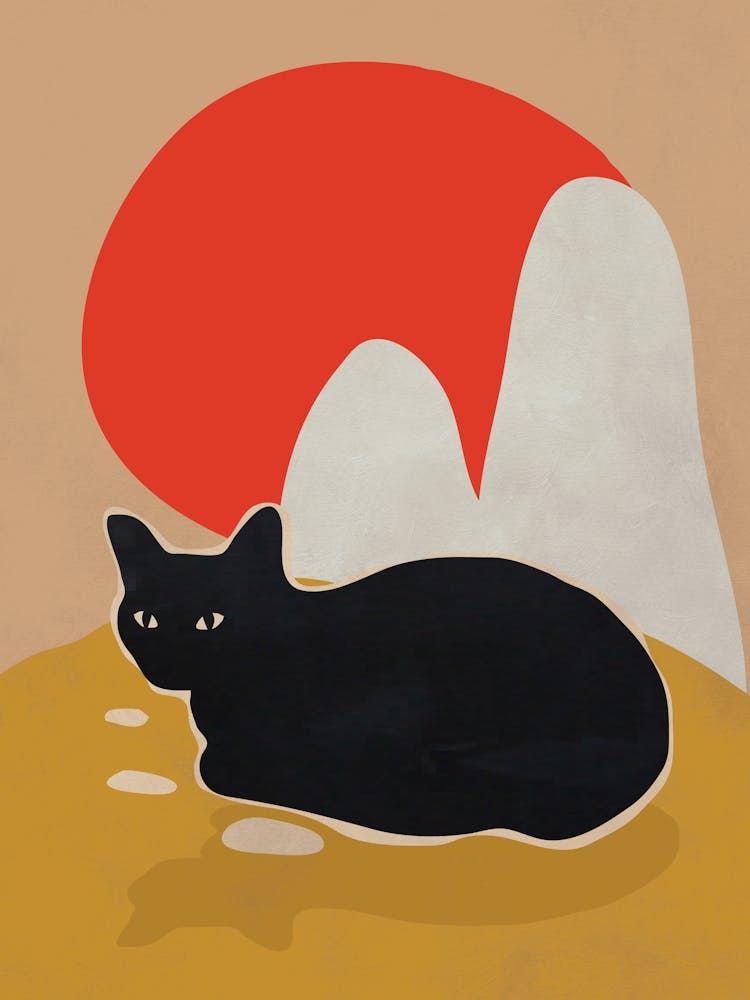 Cat 2