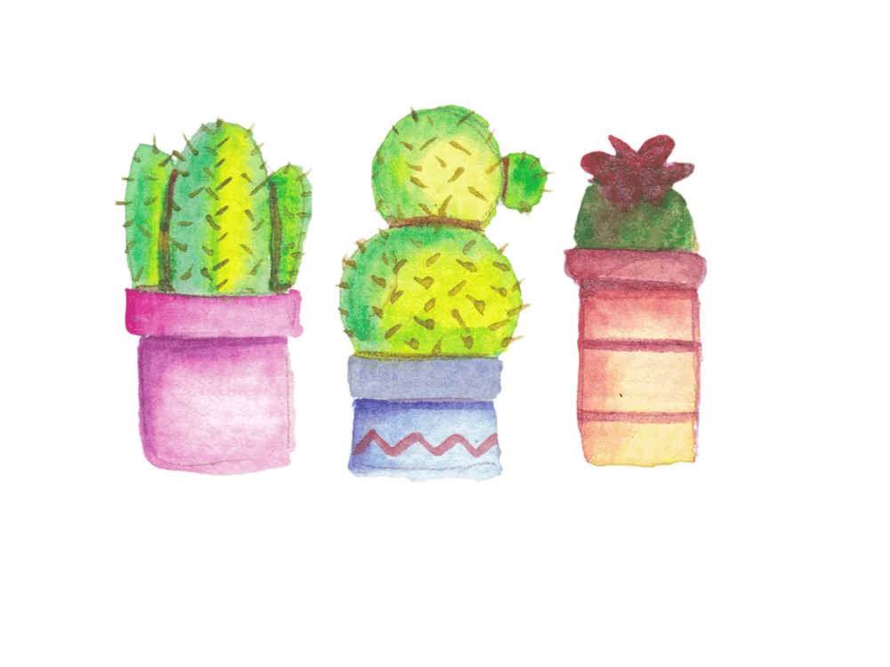 Cacti