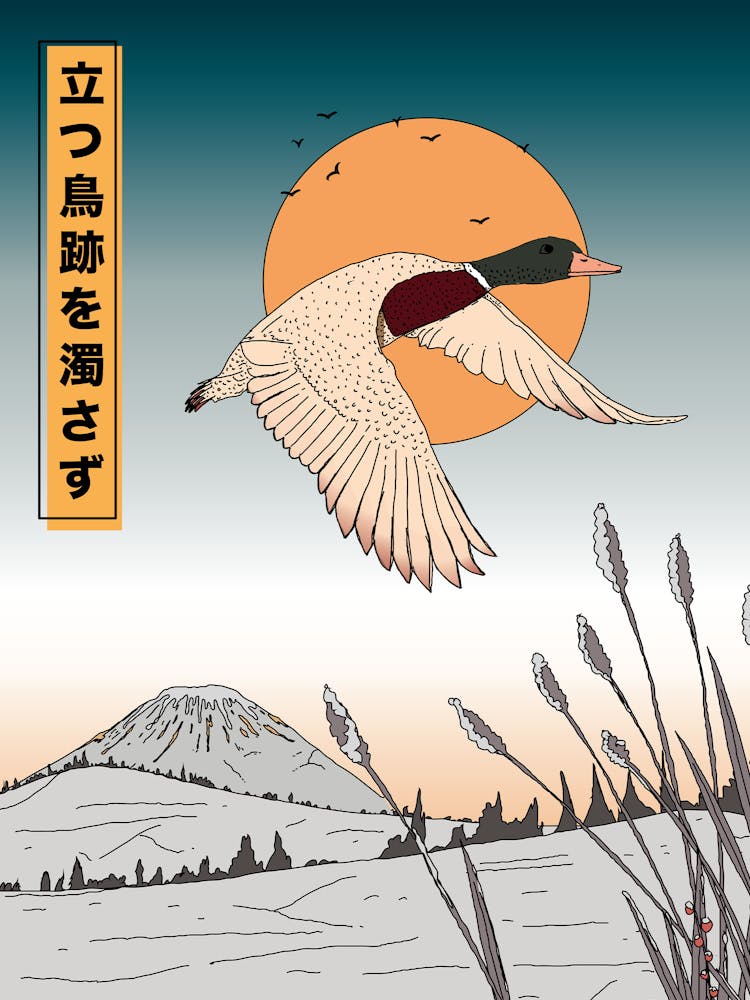 Japanese Duck In Flight