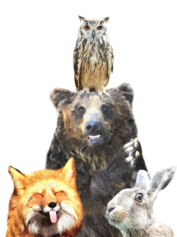 Cute Forest Animals Watercolor 