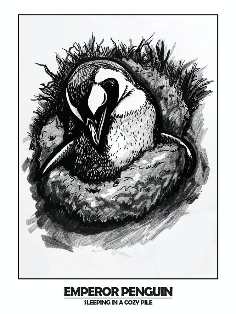 Penguin Sleeping In A Cozy Pile Poster 3
