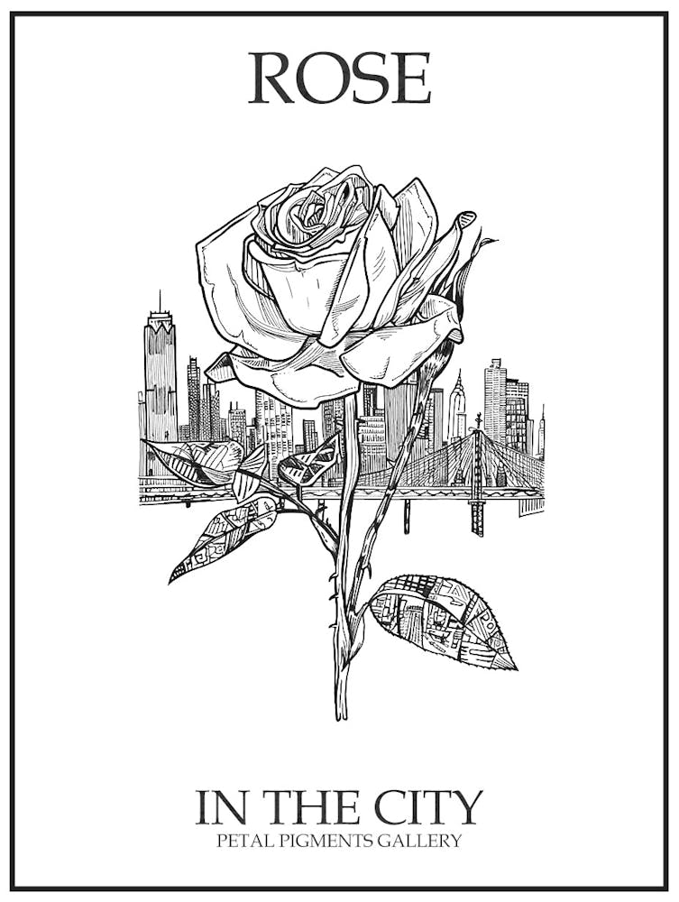 Rose Dans La Ville Dessin Au Trait 1 - Affiche