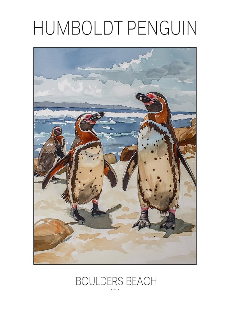 Manchot de Humboldt Boulders Beach Simons Town Peinture Aquarelle 4 Affiche