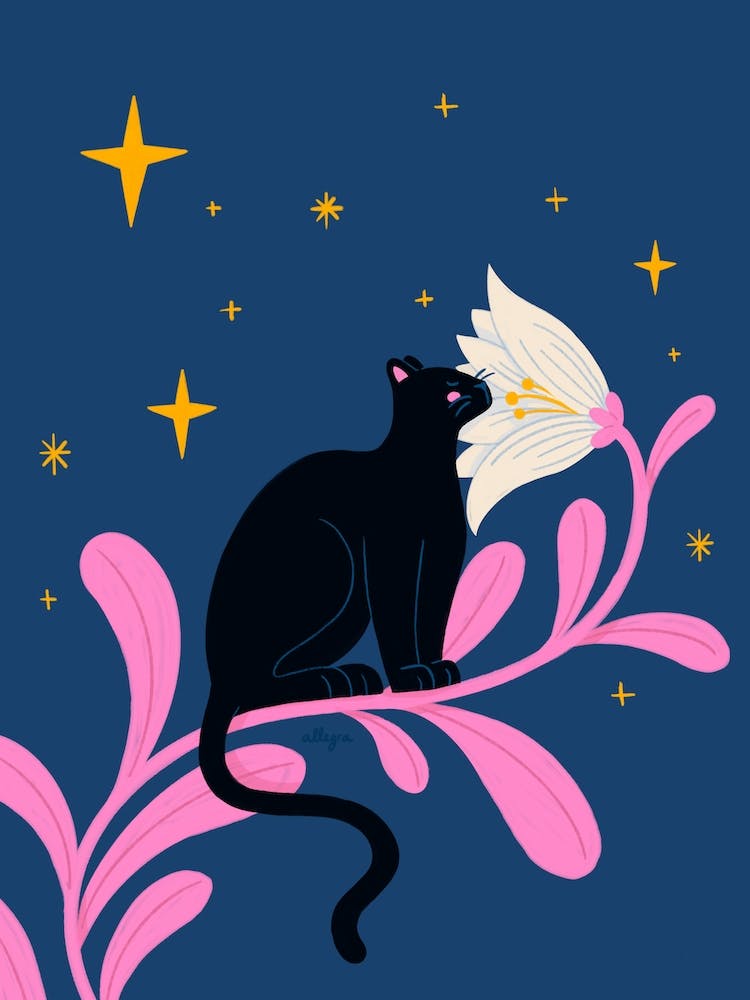 Night Panther
