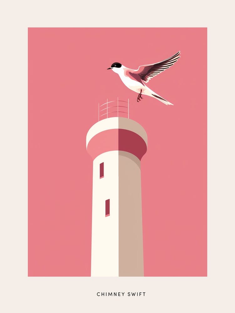 Minimalist Chimney Swift 2 Bird Poster