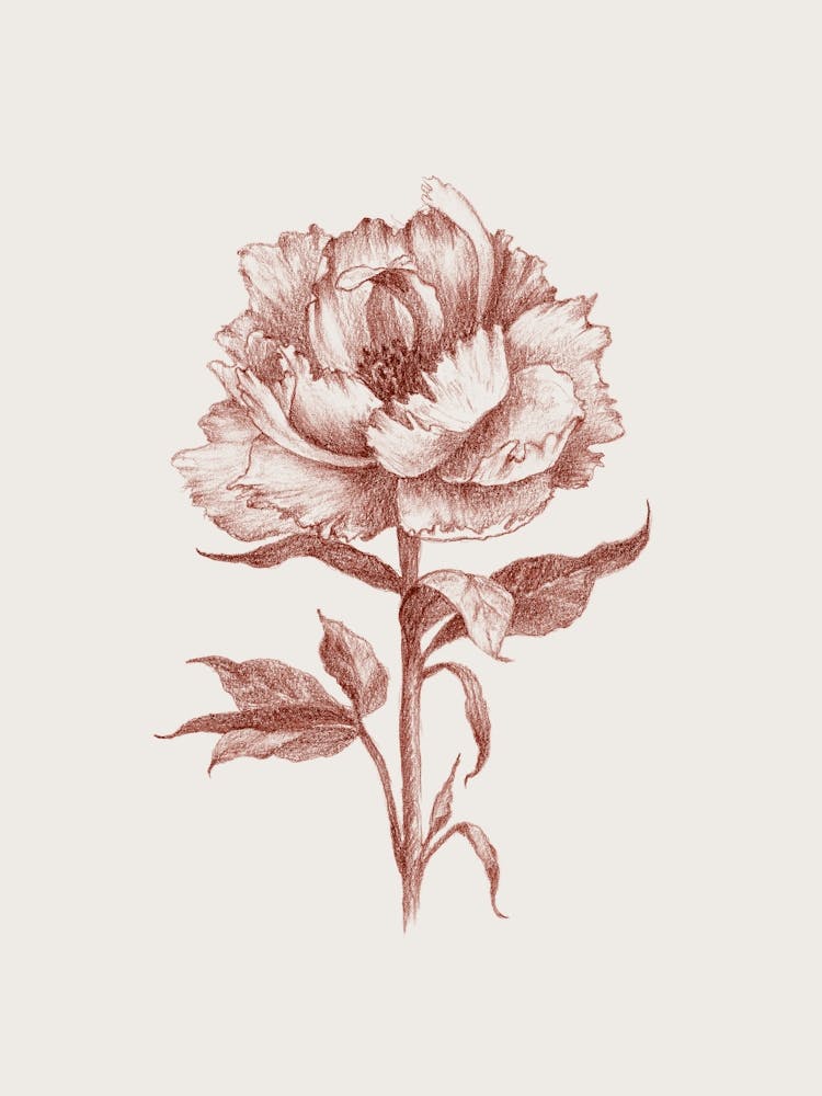 Flower No76b Aga Szafranska