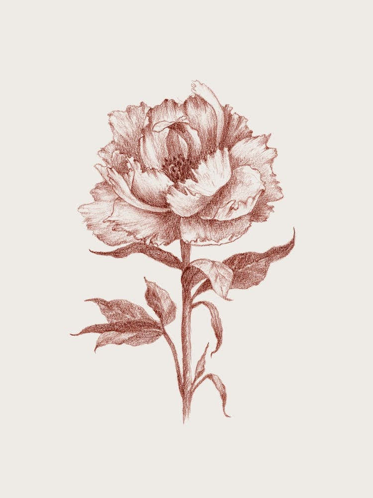 Flower No76b Aga Szafranska