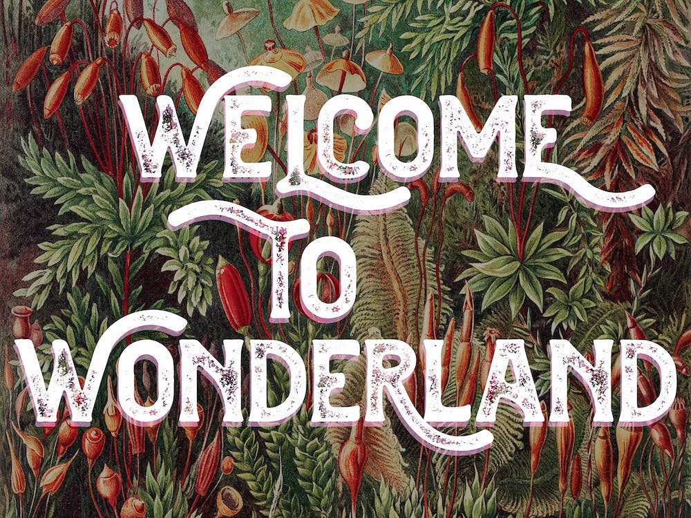Welcome To Wonderland Vintage Typography