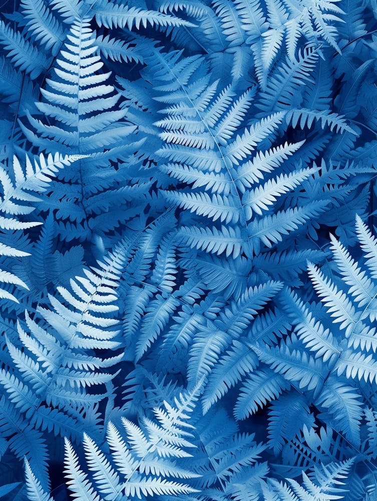 Pattern Poster Blue Star Fern 3