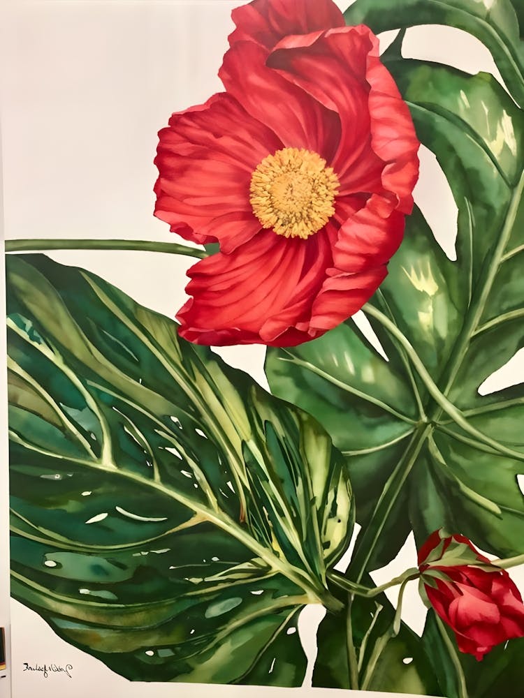 Red Poppy 6