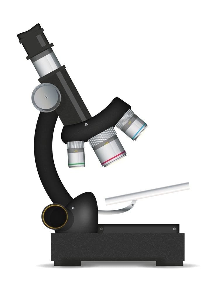 Microscope