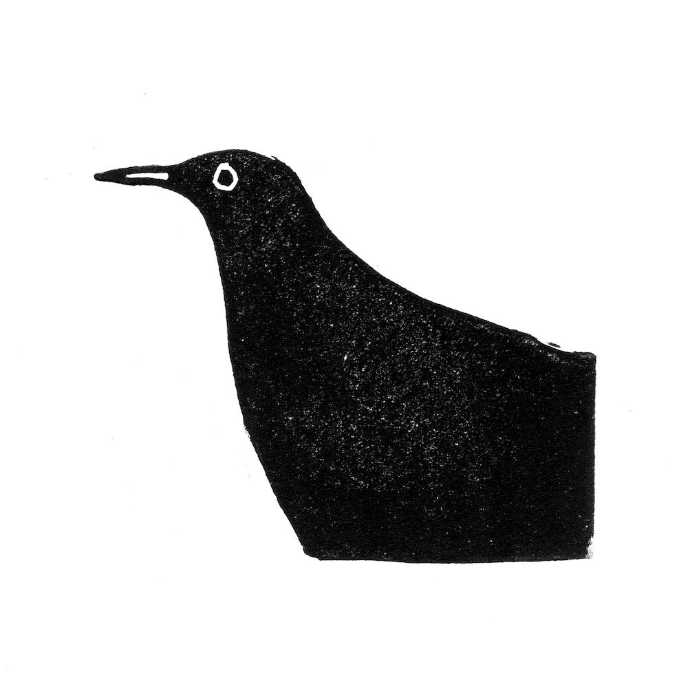 Amsel Linolschnitt Quadrat