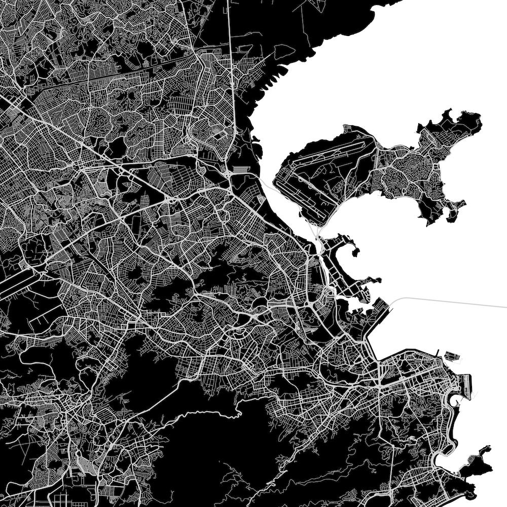 Rio de Janeiro in Black