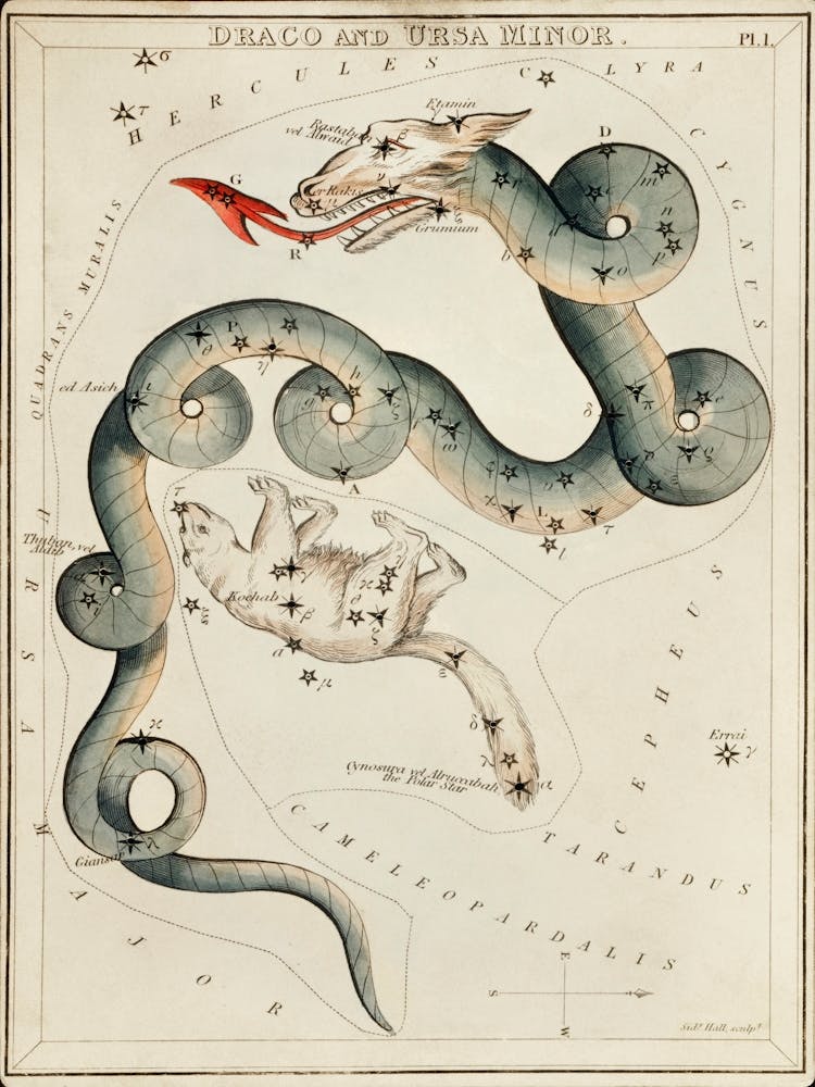Sidney Hall’s (1831), Astronomical Chart Illustration Of The Draco And The Ursa Minor