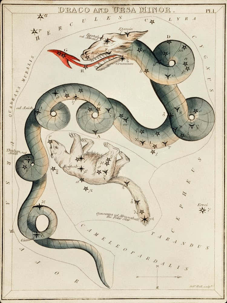 Sidney Hall’s (1831), Astronomical Chart Illustration Of The Draco And The Ursa Minor