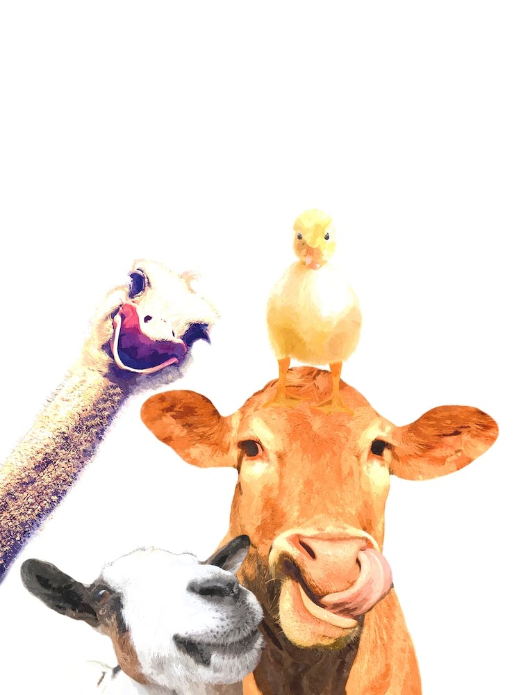 Cute Farm Animals Illustration
