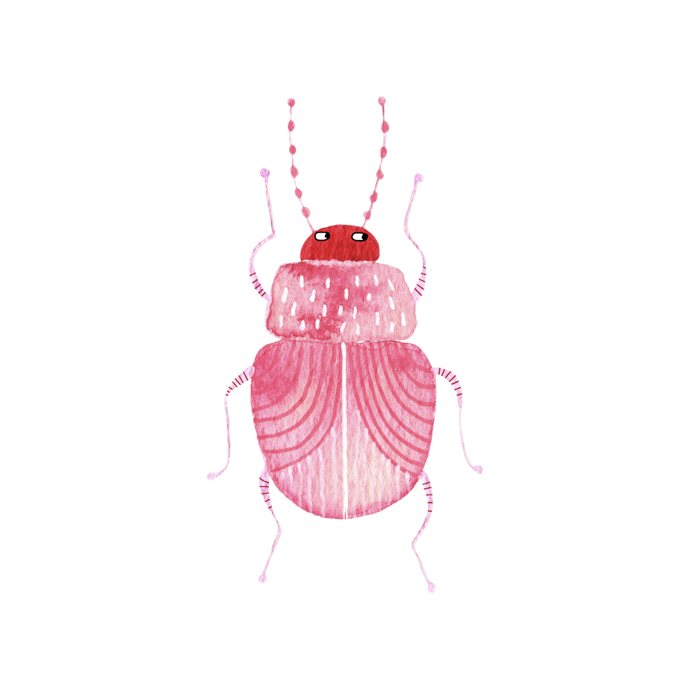 Sarcastic Pink Watercolor Beetle