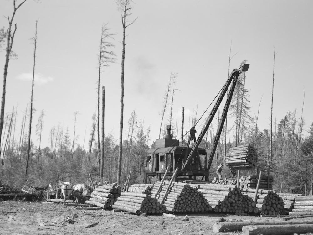 Loading Logs Onto Railroad Cars Near Effie, Minnesota By Russell Lee
