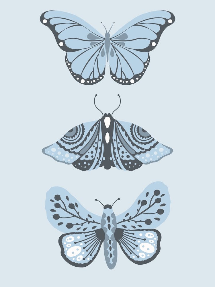 Blue Butterflies
