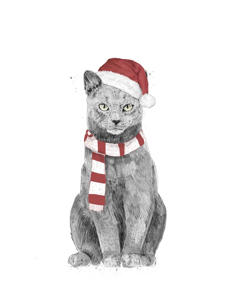 Xmas Cat