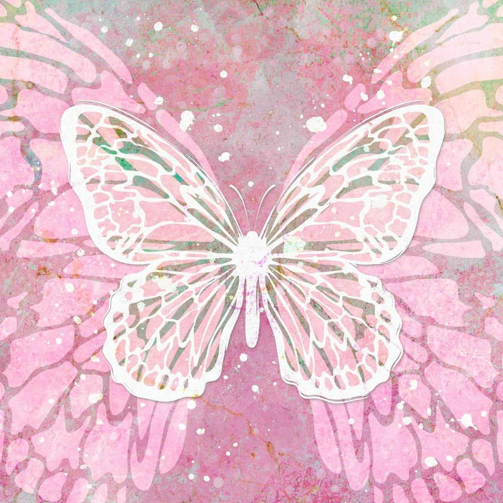 Pink Butterfly