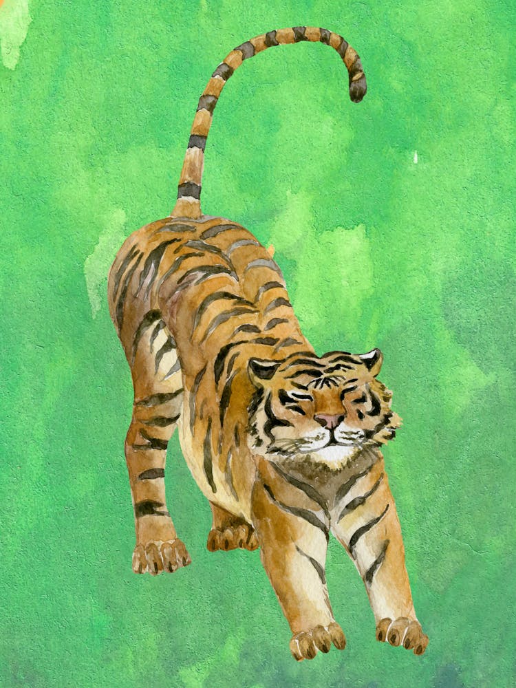 Tiger 4