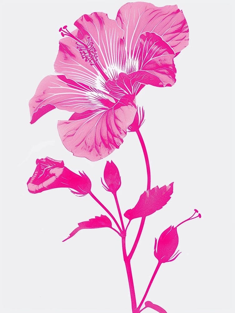 Hot Pink Hibiscus 3