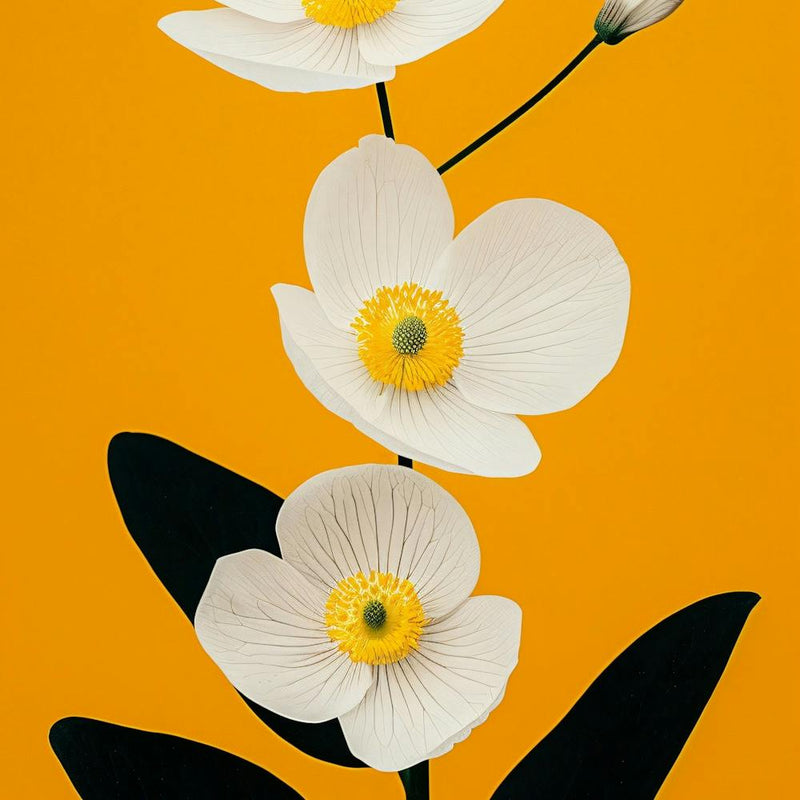 White Flowers