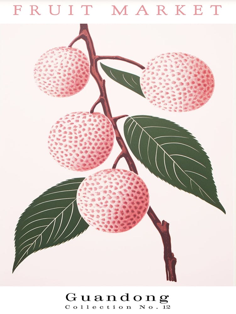 Lychee Fruit Poster Gift Guangdong Market