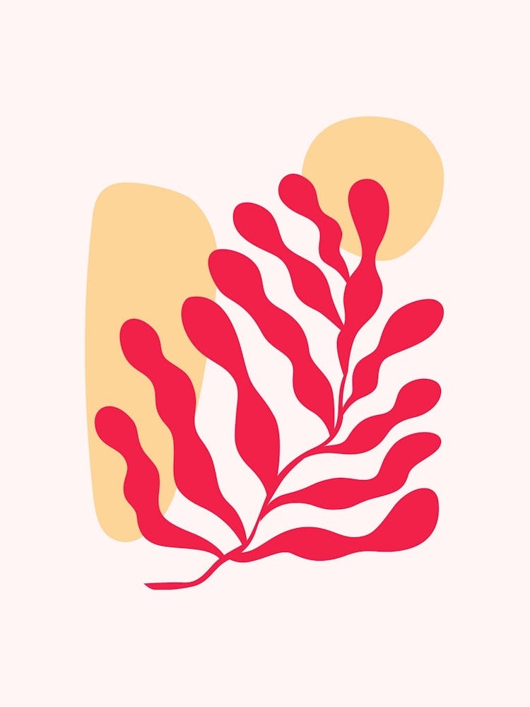 Red Seaweed