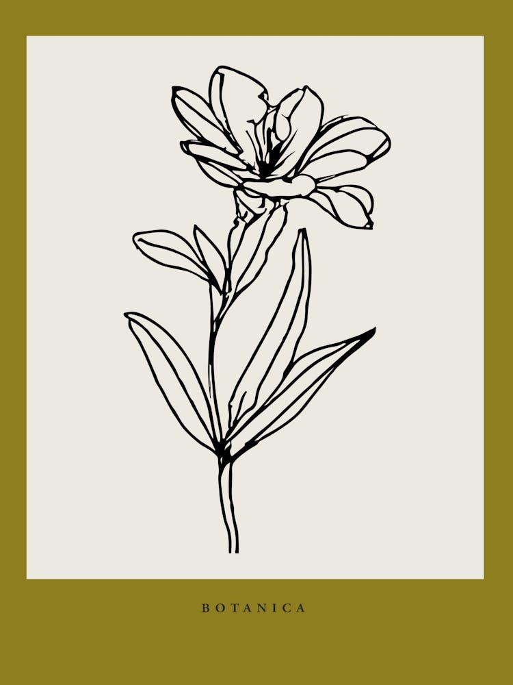 Botanica line no 07