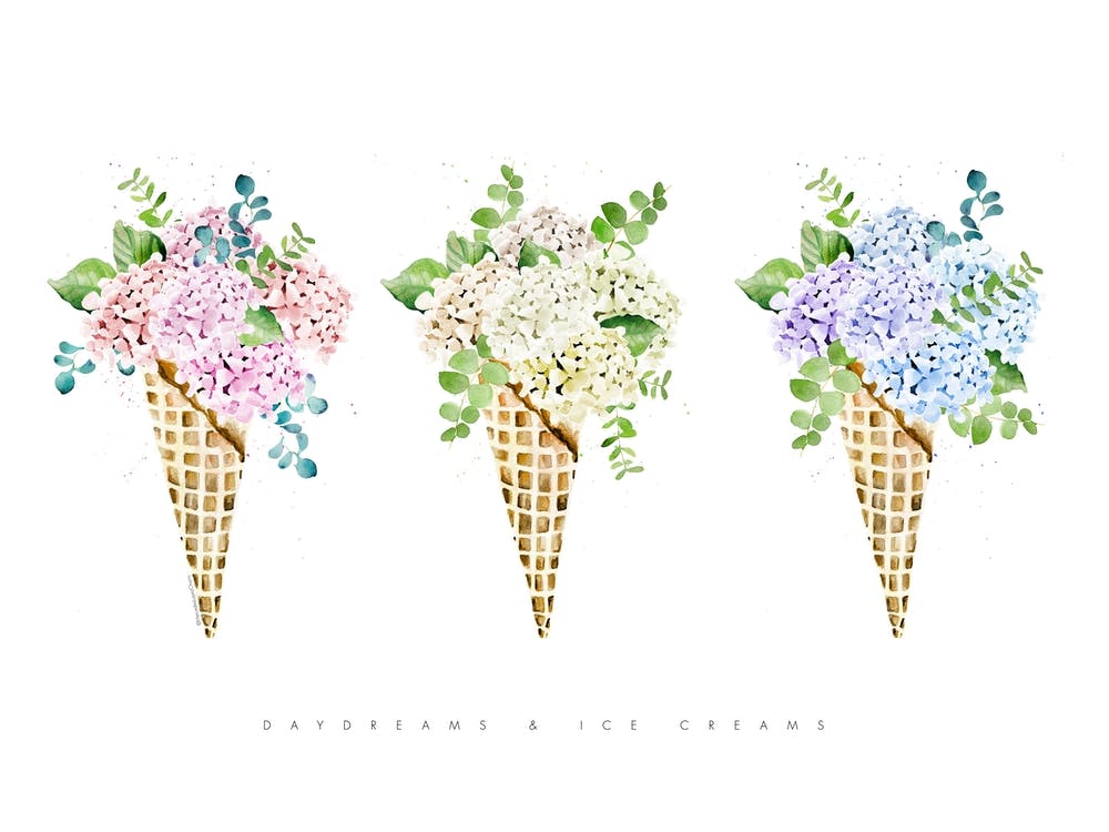 Hydrangea Floral Cones