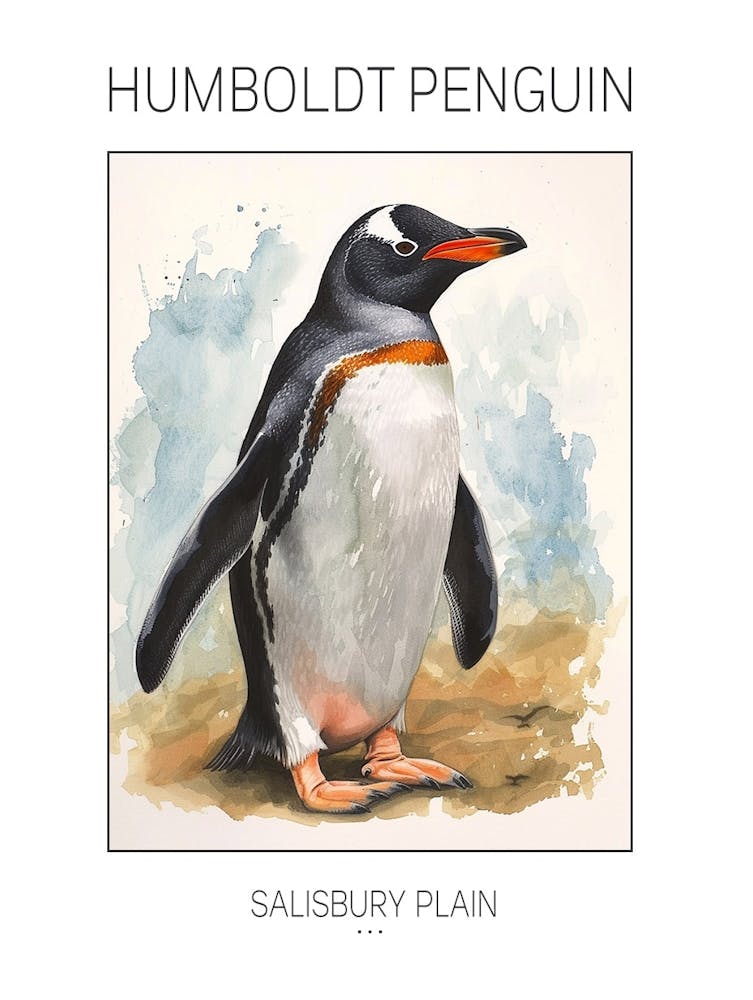 Humboldt Penguin Salisbury Plain Watercolour Painting 3 Poster