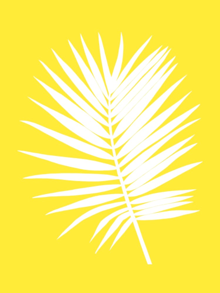Palm Leaf On Yellow Background