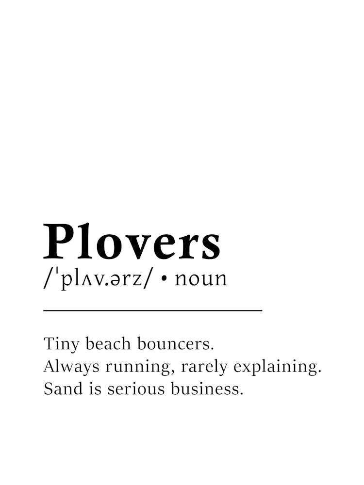 Plovers Definition Poster - Dictionary