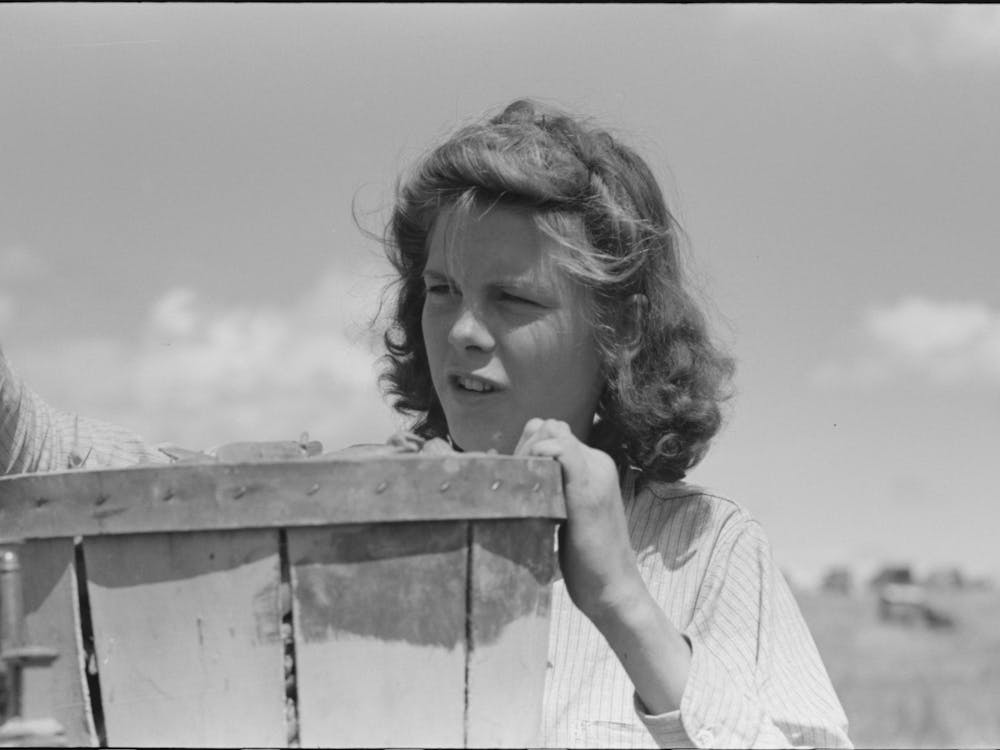 Pea Picker,Nampa, Idaho By Russell Lee