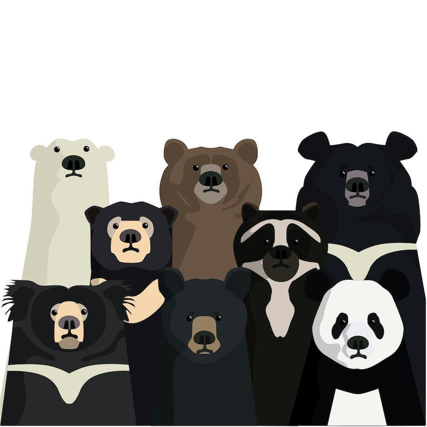 Bear Family Portrait